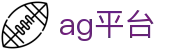 AG平台品牌信息与官方下载术语说明｜ag-platform.org